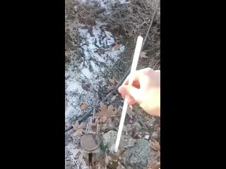 interesting ice
